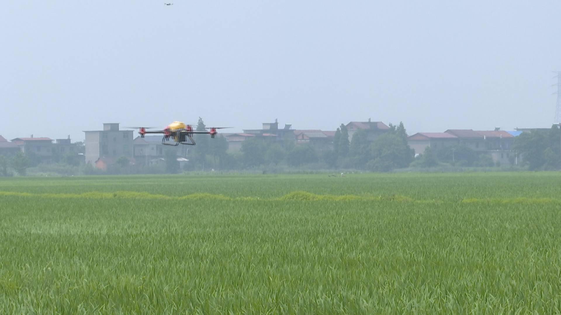 无人机为农业插上科技翅膀