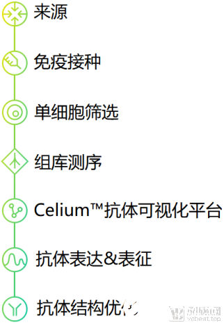 新人工智能模型可精确预测人体细胞基因表达