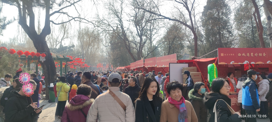 新春走基层|北京科技庙会点燃春节“机器人热”