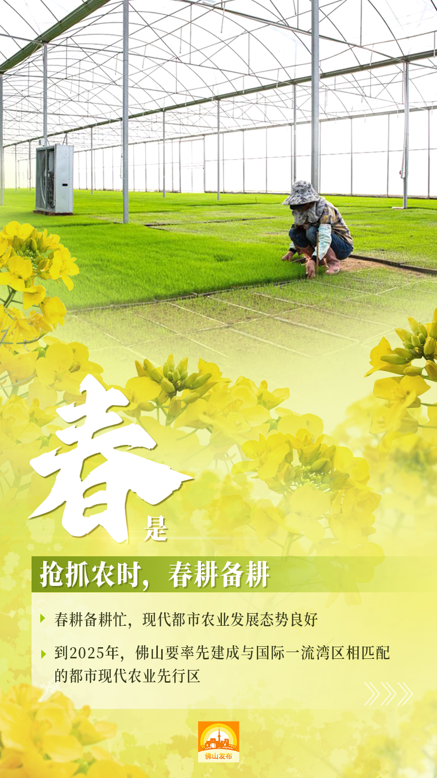 镜头里的春日经济——春耕里的“科技范儿”
