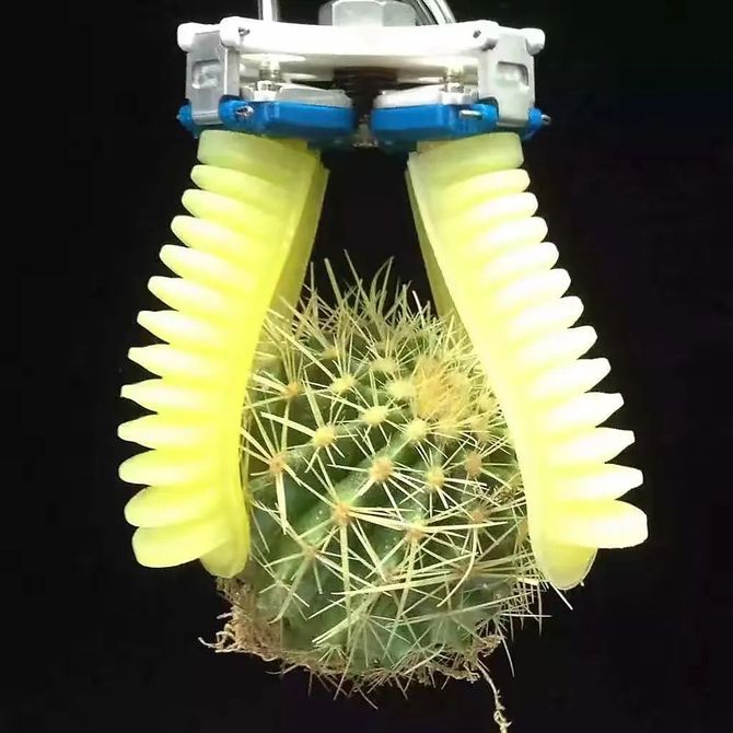 深圳机器人“天团”解锁多元新赛道