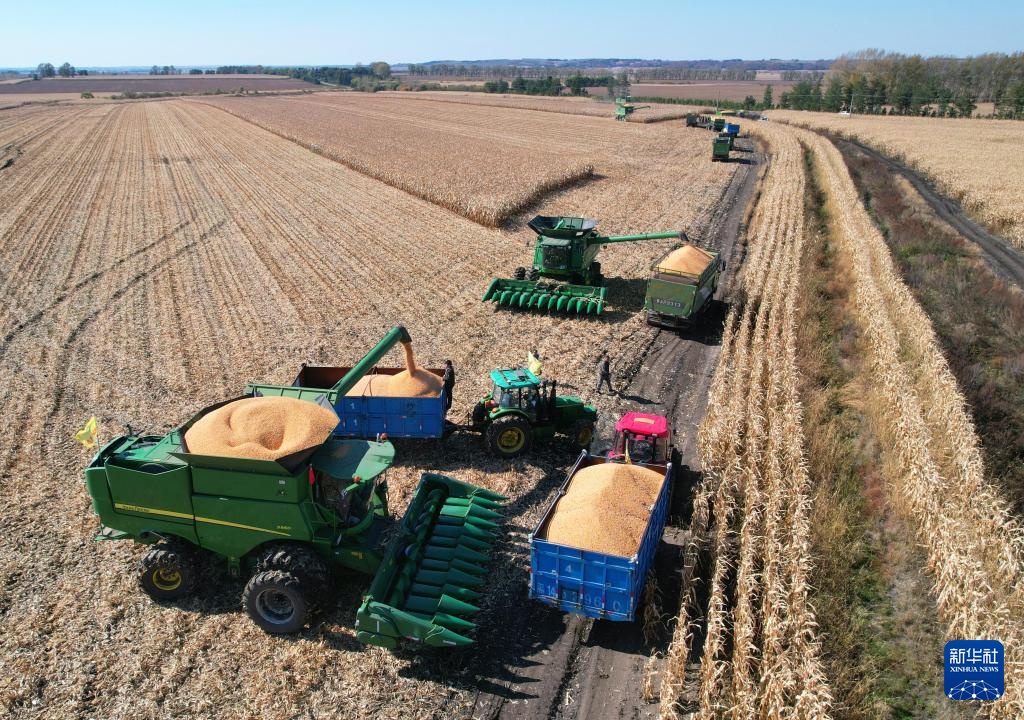 新华全媒+|“天上导”“地里察”“空中拍”……看关中平原麦田里的“立体智慧”