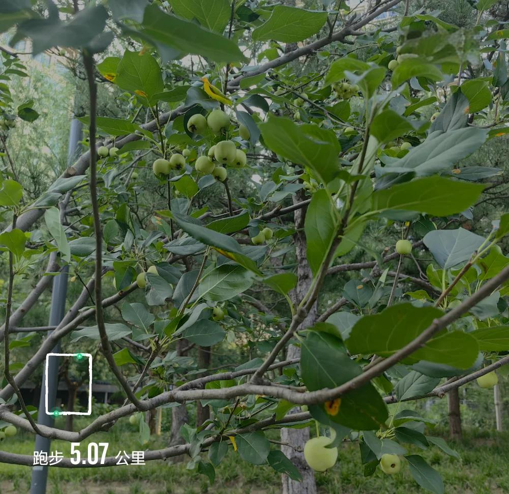 创新药企海外授权交易大单频频,VC/PE退出或可增添新路径