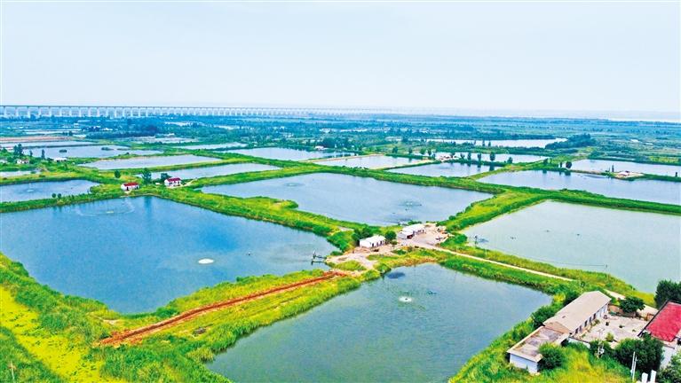 沃野劲吹科技风