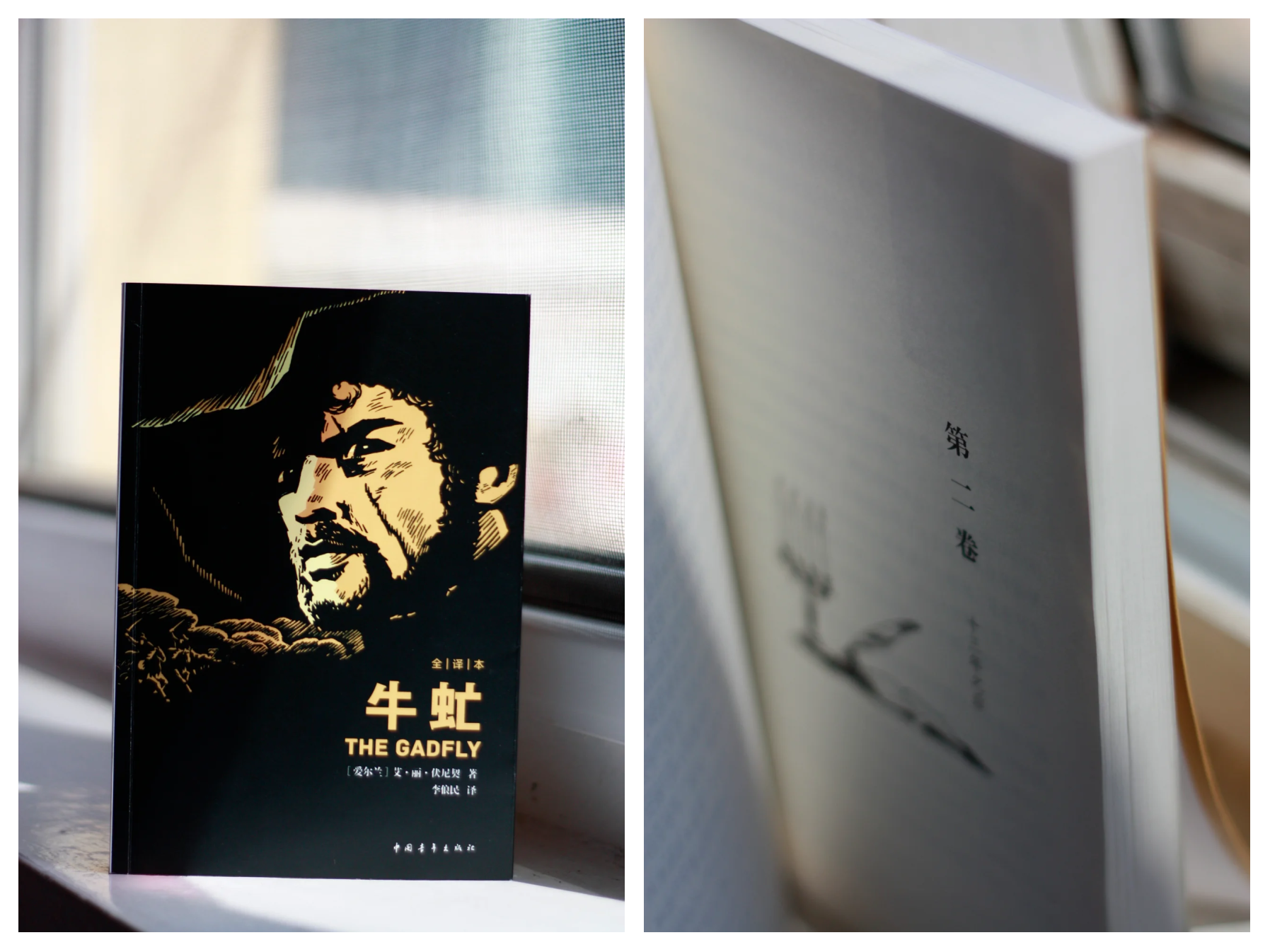 小虫子撬动的新质生产力：黑水虻“吃”出千亿市场——专访茵塞普科技创始人余广滔