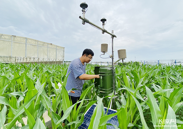 农业十大领域建立全国科学数据观测网络