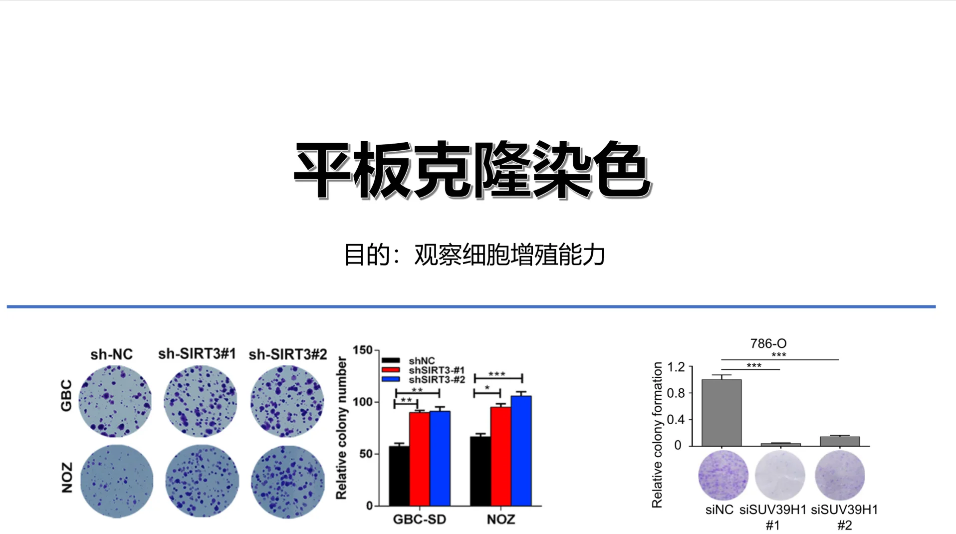 我科学家实现高效体细胞克隆