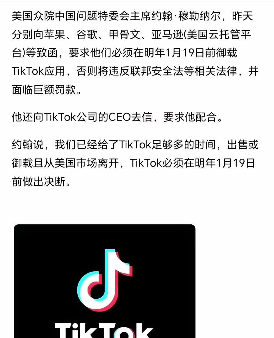 230亿美元！TikTok 2024年收入曝光！