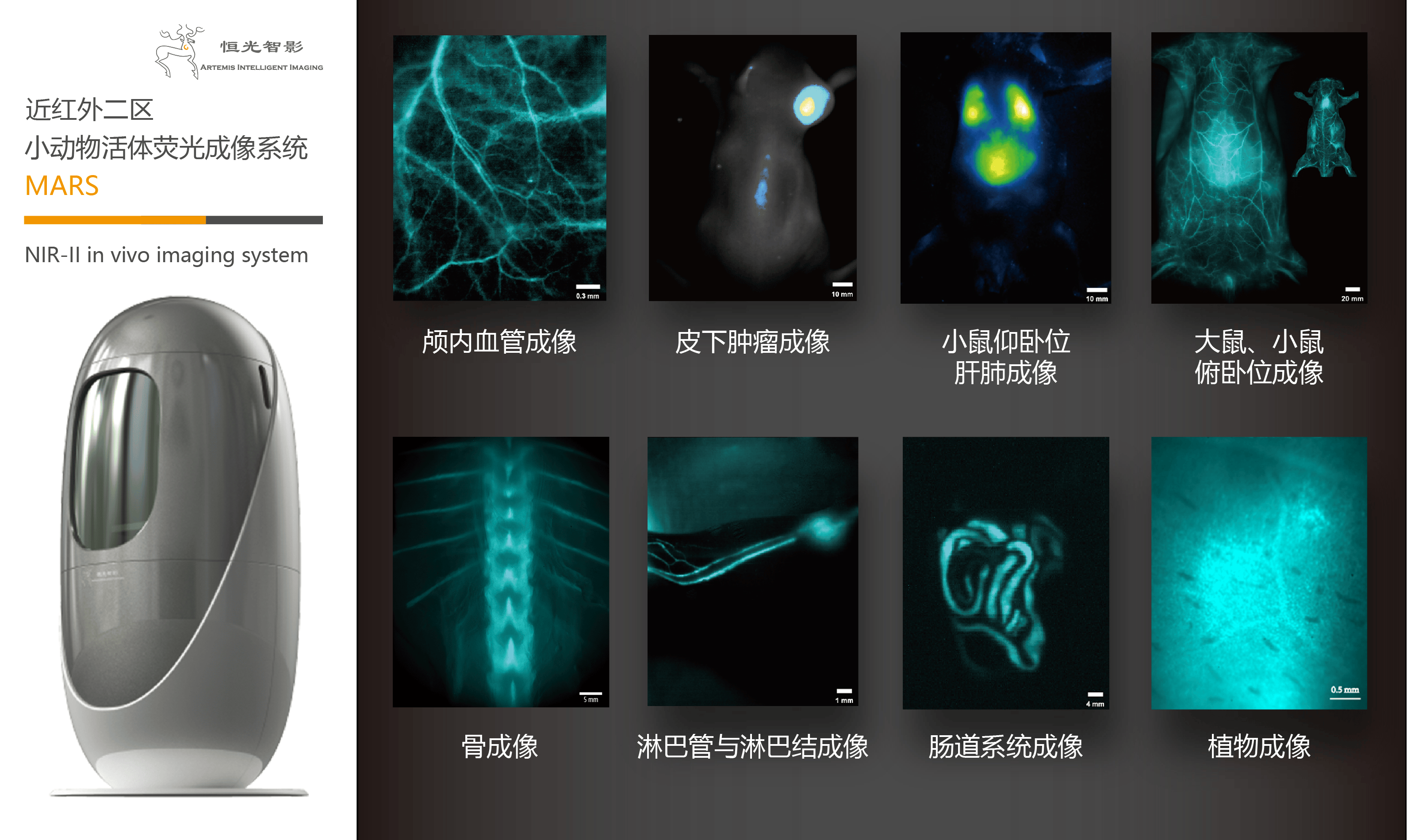 纳米光子器件中实现光信号跨结构“穿梭”