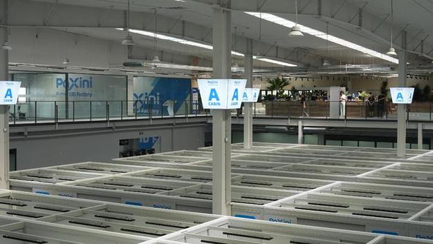 触觉感知企业帕西尼，4个月狂揽10亿元！