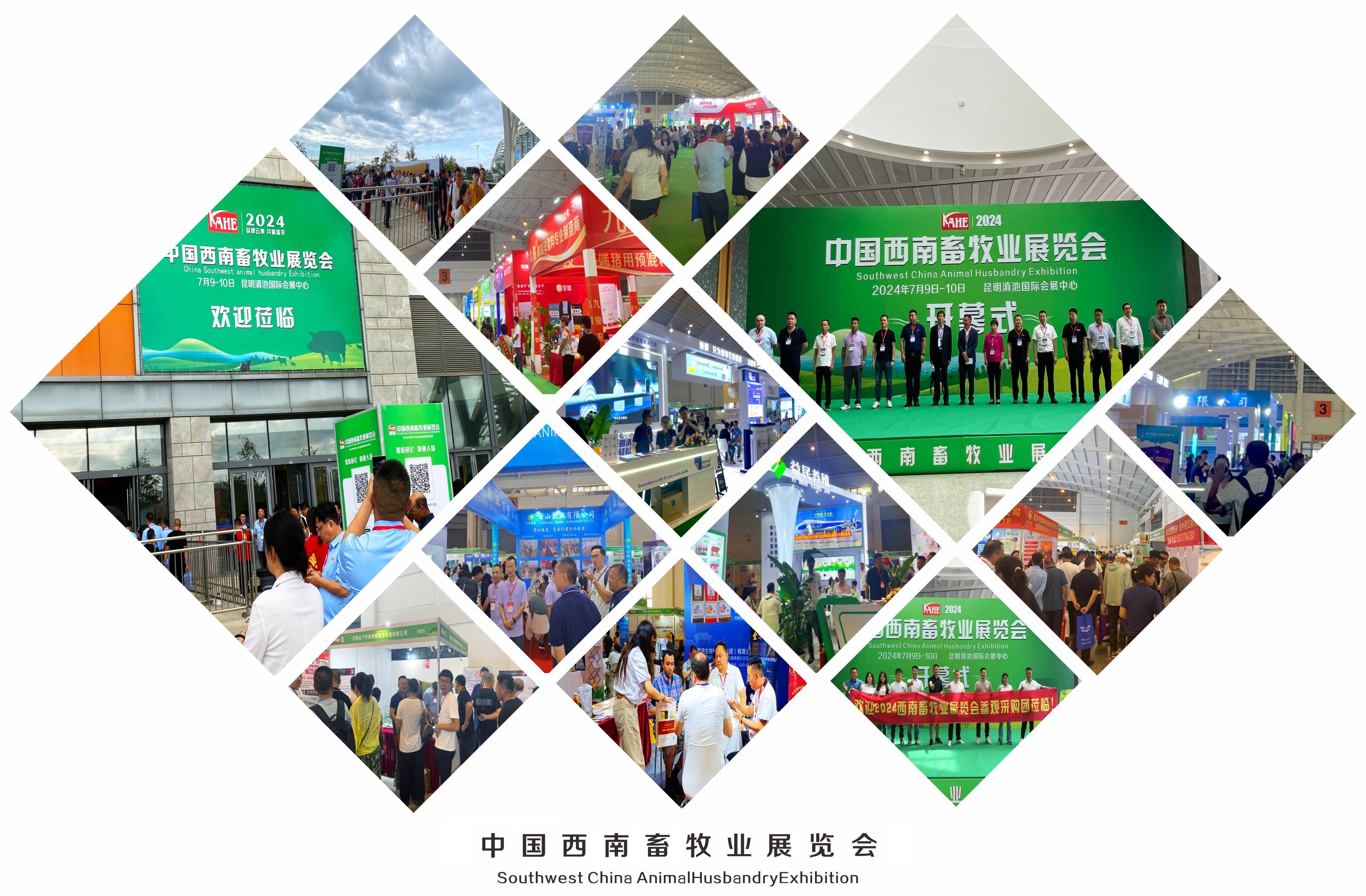 2025年中国国际服务贸易交易会看点前瞻